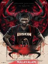 Bison