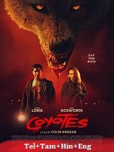 Coyotes