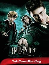 Harry Potter and The Order of the Phoenix