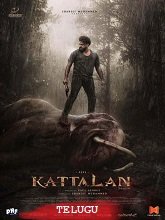 Kattalan