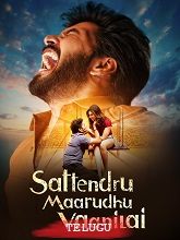 Sattendru Maarudhu Vaanilai